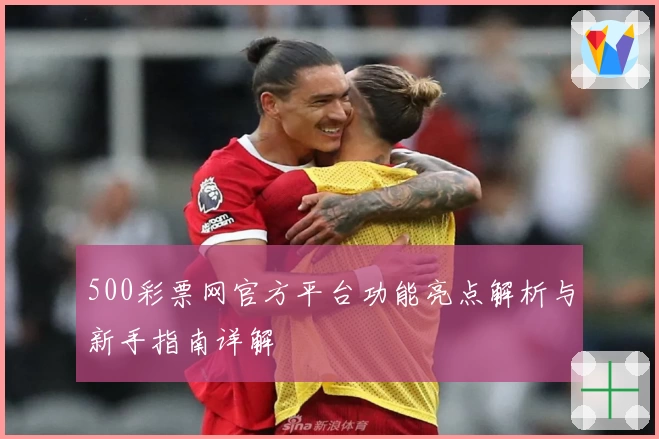 500彩票网官方平台功能亮点解析与新手指南详解
