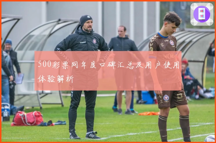 500彩票网年度口碑汇总及用户使用体验解析